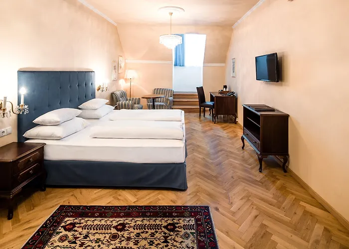 Palais-hotel Erzherzog Johann 호텔 4*